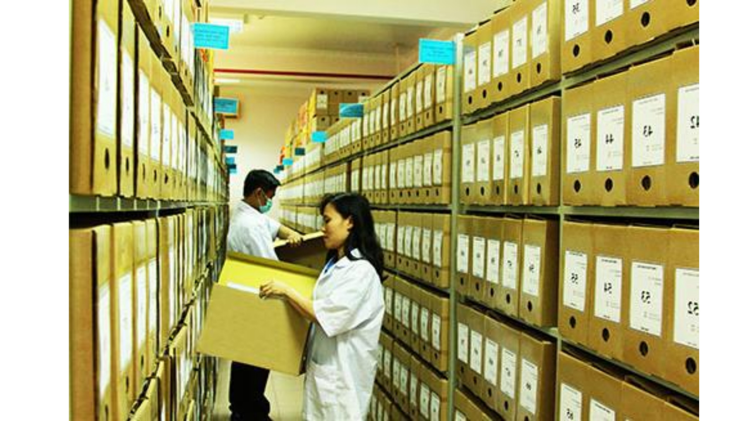 Search Paper Records